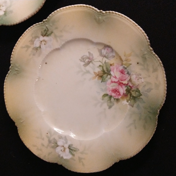 Other - Old china plates Flora print